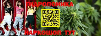 прущие крисы Кулебаки