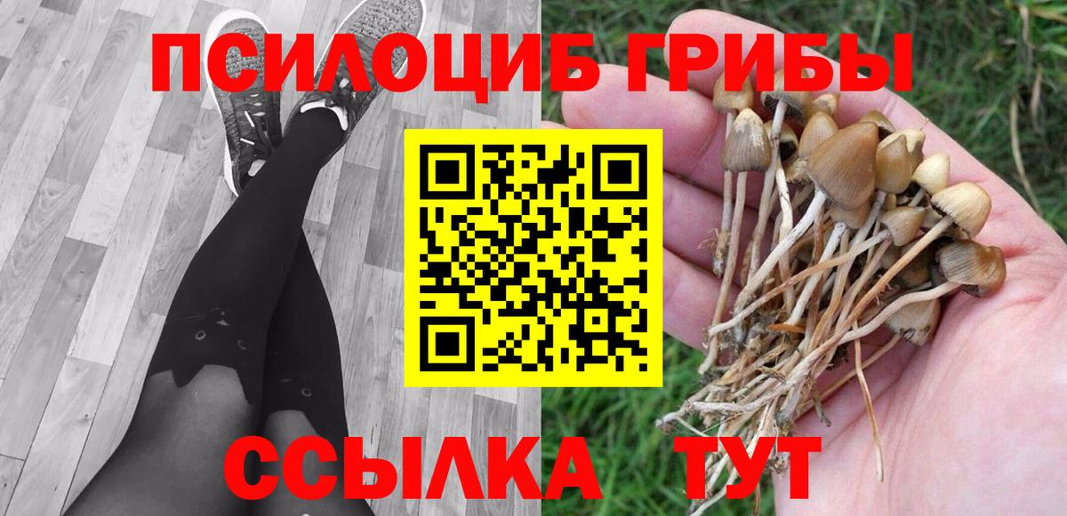 Псилоцибиновые грибы прущие грибы Советск